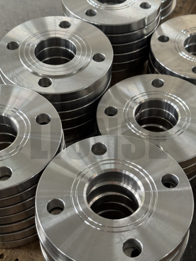 DN50 SS304 Hydraulisk testfläns